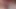 Suck and Lick My Long Hard Dick Intil I Cum Closeup