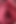 Pissing Pussy Extremely Close-up