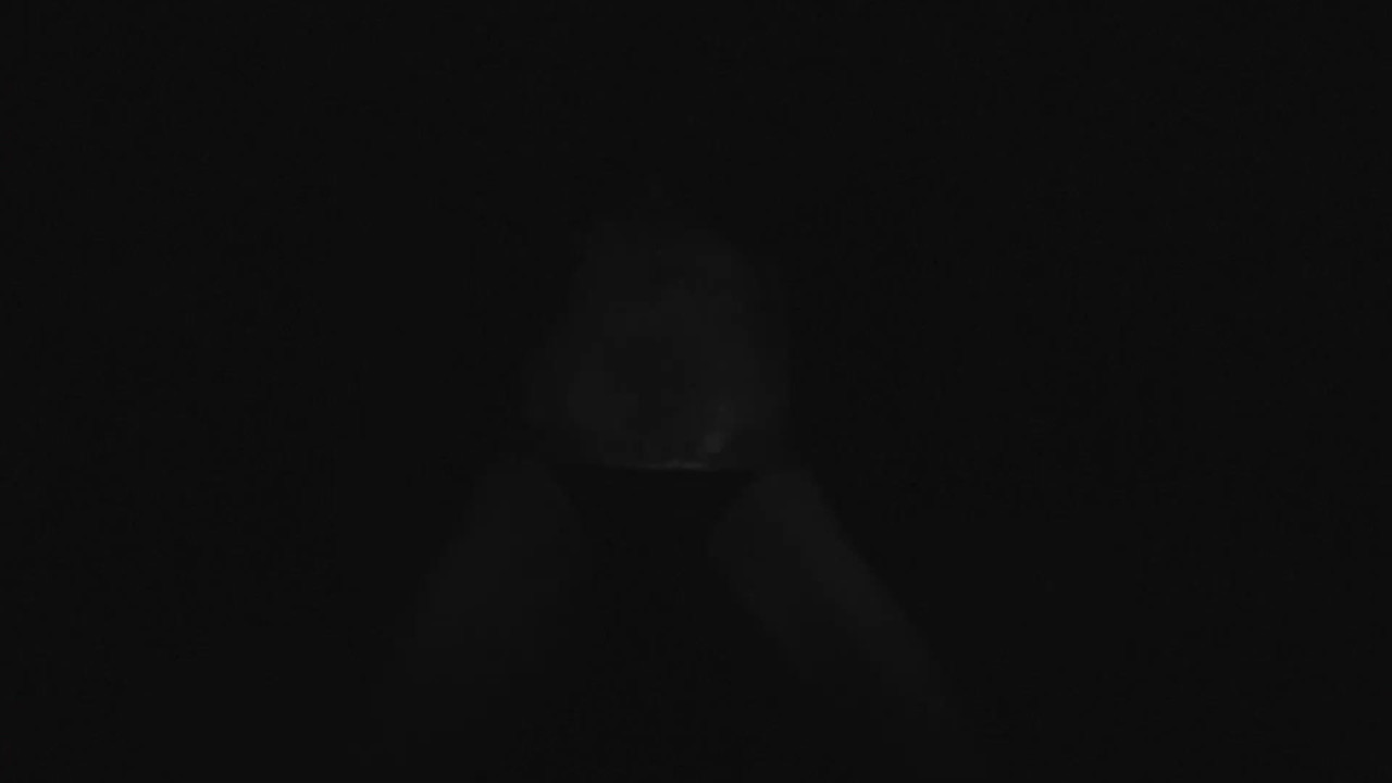 ريكيسلاتر إكس هامستر لايف