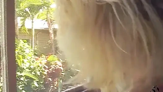 Села Райн, Рианна Звезда, первый большой черный член