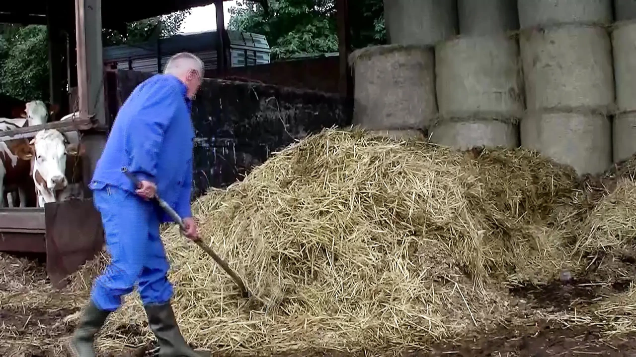 Learn to Ride with the Horny Farmers on Their Farms and in the Barns