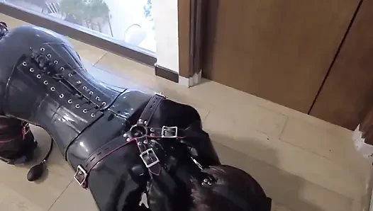 Mz12 - lateks bağlı köpek yavrusu orgazm olmak için titreşiyor