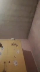 AMO IL MIO RAGAZZO 2