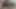 Furplay: POV Extremely Hairy Bisexual Bear Cums While Rubbing His Furry Body