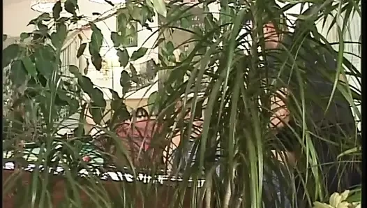 Semua orang kembali ke vagina