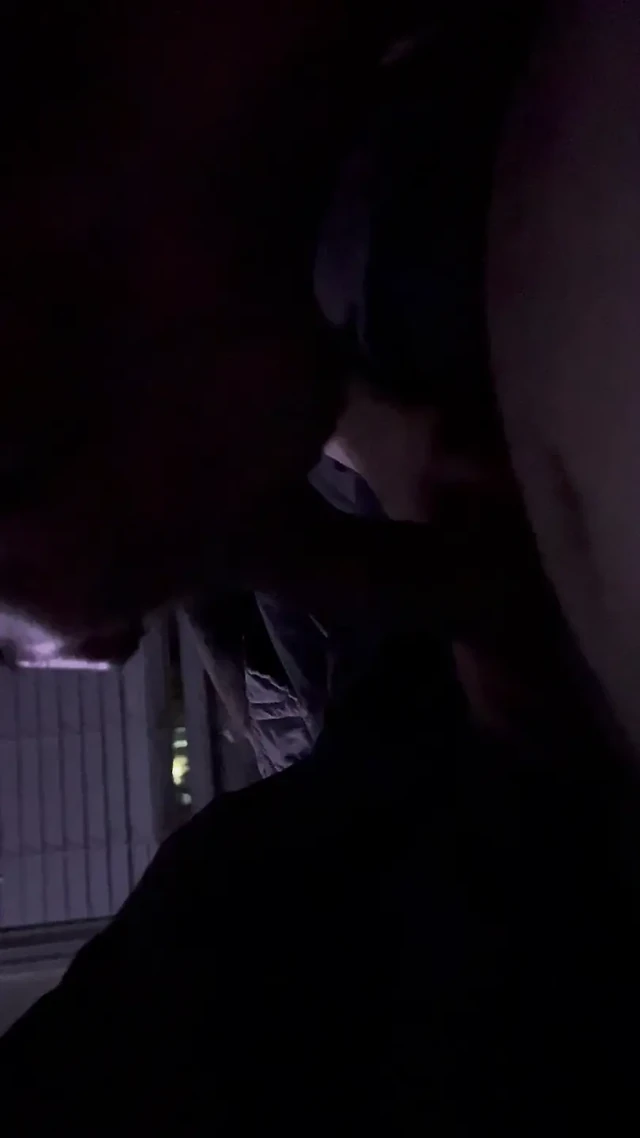 Kitten sucking cock