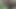 ブラックウッドのベスト(2025年)
