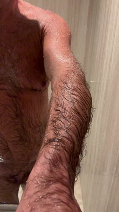 Shower hand held