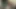 BLOWING BIG COCK WITH CUM ON FACE