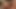 Yaramaz sarışın kız bir fotoğrafçıya amını parçalatıyor