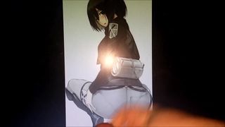Трибьют для Mikasa