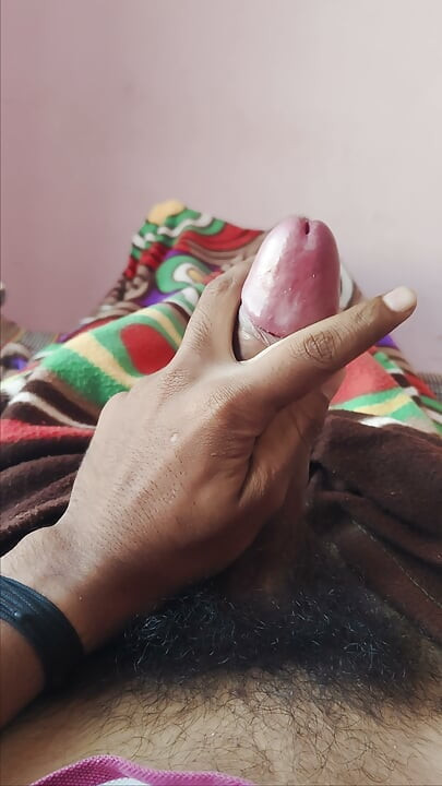 Bhaartiy bare land ke saath svadisht doodh dilli 88,16,81,53,00