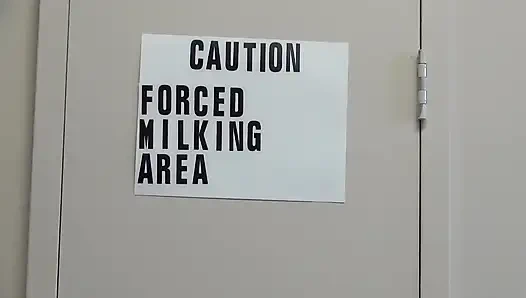 Herrischer Lexy Band 2 mit Lexy Eros