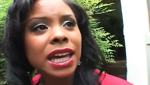 Siyah ateşli amcık amında büyük siyah bir yarak istiyor