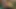 Lakshmi Aunty Got Fucked by a Pervy Old Neighbor - Wickedwhims