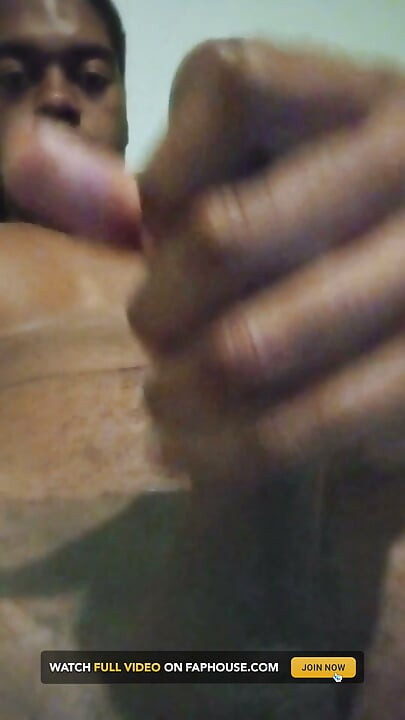 Big Brown Coco