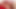 Jake Cruise und Shane Frost (jbt p3)