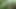 Shows off and ejaculation in the forest