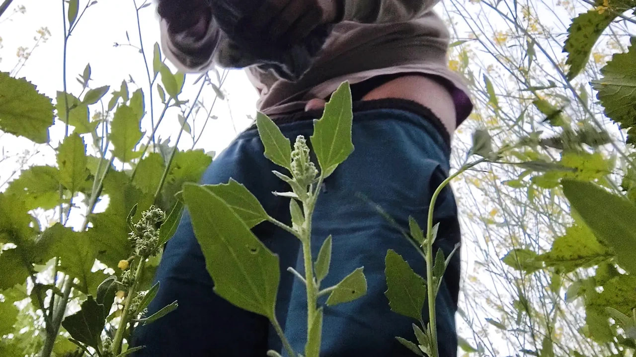 Apni bhabhi ko nangi dekhkar jungle mein sex karne lag Gaya