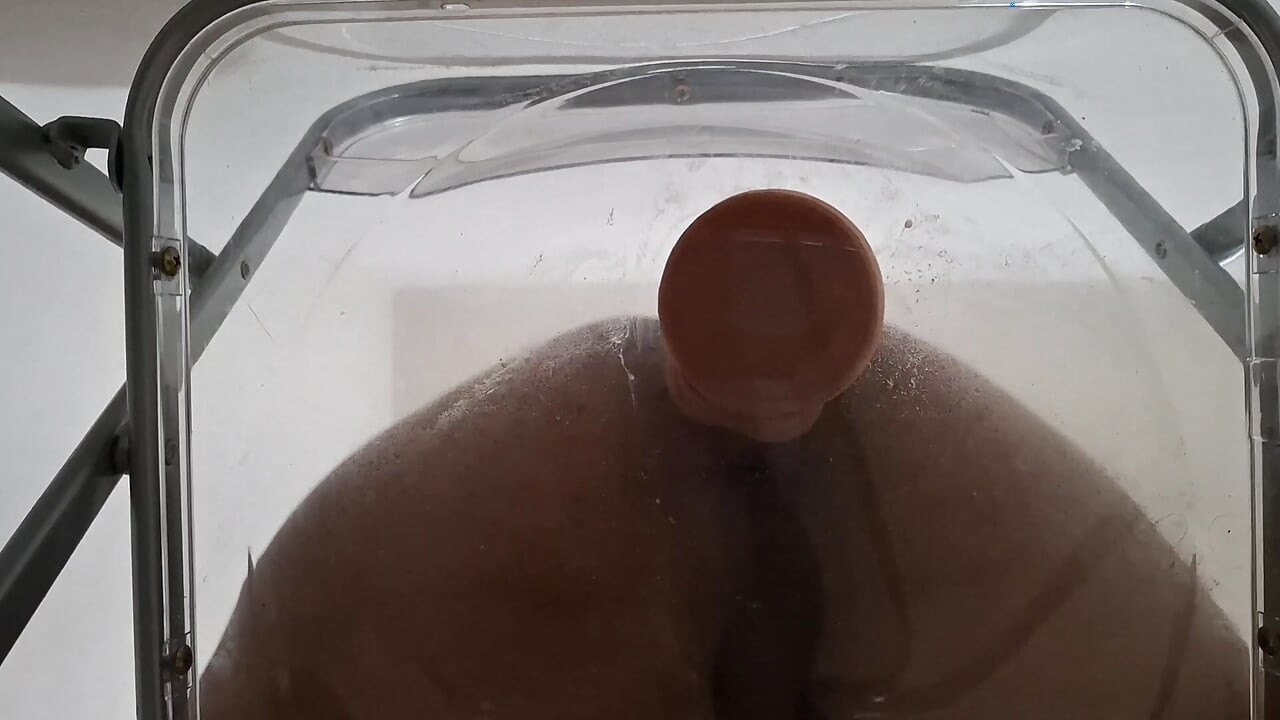POV: Dirty Talk Fat Ass Trans Raven Facesitting and Anal Creampie after Riding Dildo through Transparent Chair
