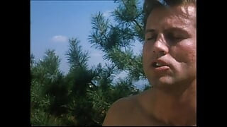 异想天开的猪片