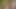 Okulun arkasında açık havada seks Hintli köylü ateşli liseli kız okul erkek arkadaşıyla sert sikişiyor xxx video