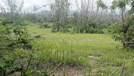 Приключения Катии Хеффнер