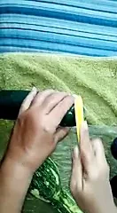 Pepino no cu 2