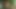 Prezervatifsiz izciler rozet kazanıyor