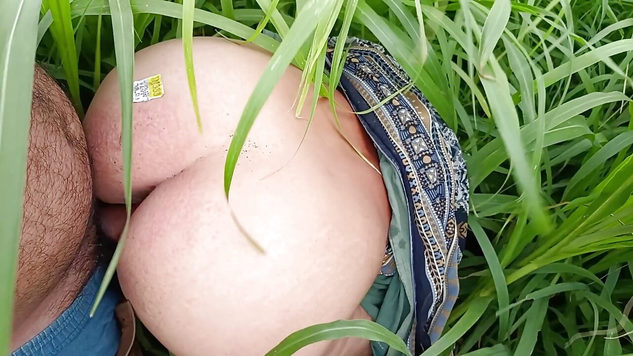בשדה הדוחן, גיסתי הגדולה מצצה את הזין והתחת מארי פתחה את שדה הדוחן והרגה את התחת של גיסתי