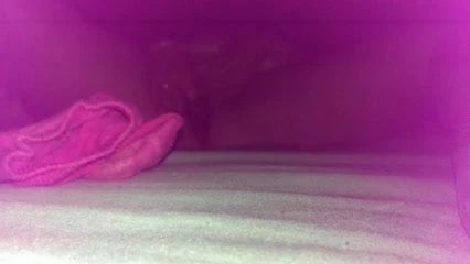 gf loves a dildo in her arse