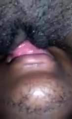sucking and licking pussy