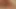 PMV - Hairy Lesbians