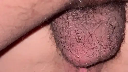 Close-up