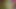 ミルクと母乳、なんて美味しいんだ