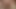 興奮した豚たちに抱かれる可愛くてセクシーな女の子