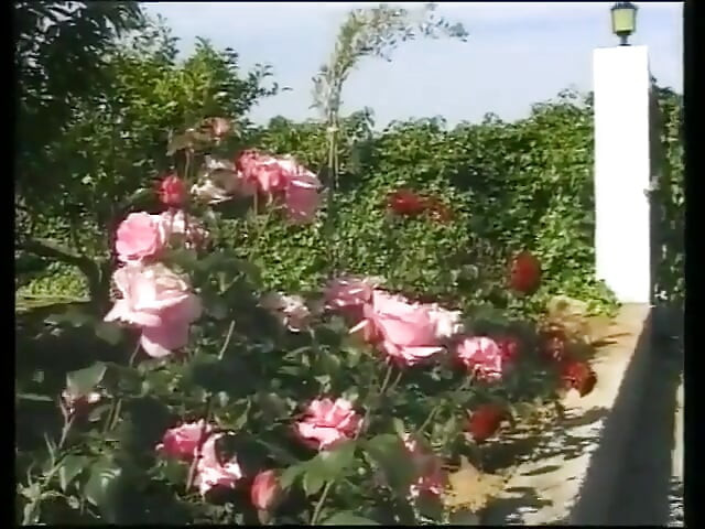 Two Friends Are on Vacation in Ibiza and Fuck Hot Chicks.