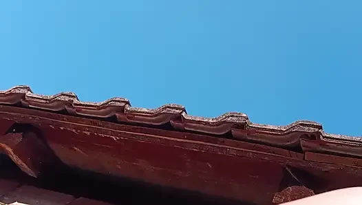 Sunny  video