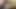 HUGE BOY TITS Monster Nipple Boy PIG Handsfree Cum Shot Cock Cage Chastity Cum