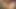 EGGPLANT PUSHINGOUTS AND GAPES (Anal, Teen, Hairy, Big toy, Food, Gaping, Close up, Ass, Hardcore)