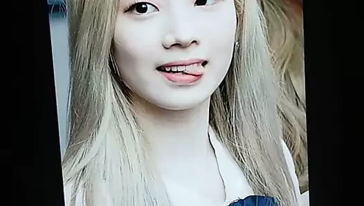 İki kez dahyun döl haraç