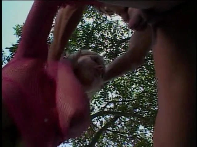 Sexy blonde sucks huge hard cock and gets fucked outside