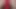 Red anal