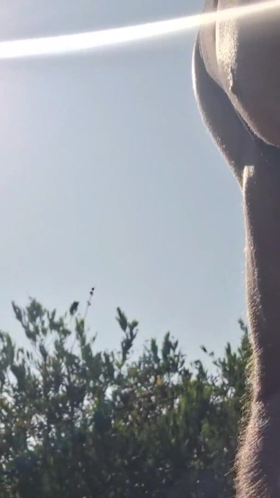 Outdoor Pissing & Jerk Off Compilation in Nature + Moaning While Driving | Clip 1