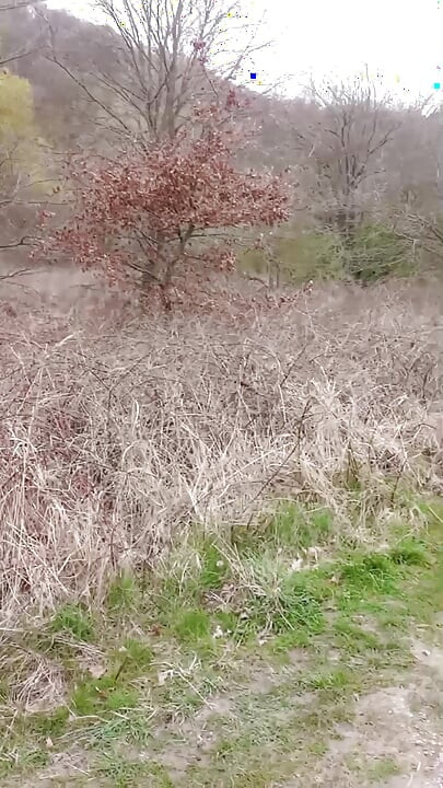 In the Nature #1