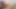 My Enigmatic Encounter with a Giant, Warm, and Fluffy Cameltoe