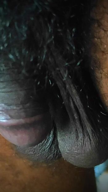 Piccolo cazzo nero peloso. Momento nudo asiatico maschio