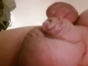 Video pregled