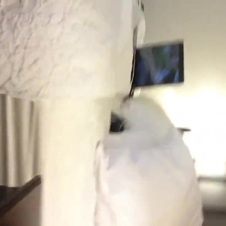 Jerking off in Hotel Huge Cumshot