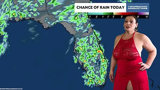 This week's forecast